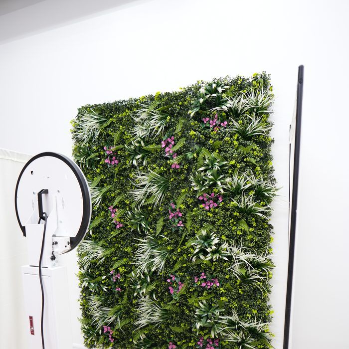 Greenery wall and photo booth